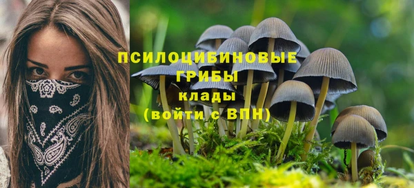 MDMA Куйбышев
