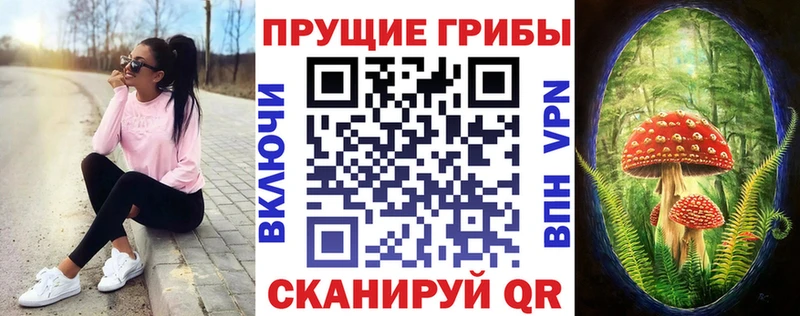 дарнет шоп  Лакинск  KRAKEN зеркало  Псилоцибиновые грибы Psilocybine cubensis 